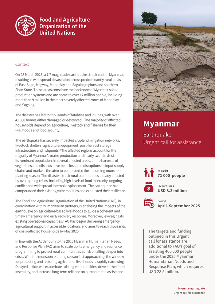 Myanmar earthquake: Urgent call for assistance - Myanmar
